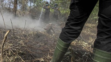 BMKG Deteksi 1.104 Titik Panas di Sumatera, Riau Siaga Karhutla