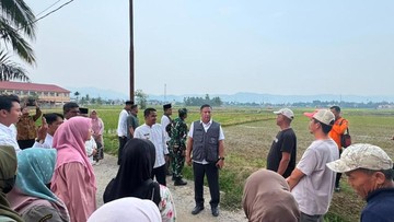 Satgas PRR Perketat Pengawasan Realisasi Dana Tambahan TKD Tiga Provinsi
