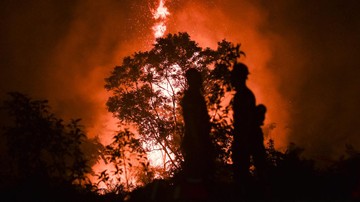 BREAKING: Kabut Asap Karhutla Jambi Makin Parah, OMC Digelar 9-10 Oktober