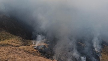 BREAKING: Kebakaran Bromo Meluas 120 Hektare, Heli Water Bombing Dikerahkan