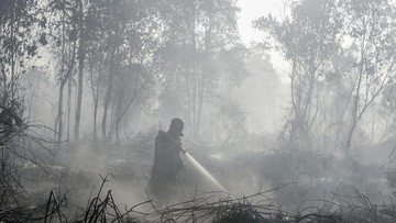Karhutla Mendekati Permukiman, Pemadaman Terkendala Minimnya Air di Kampar