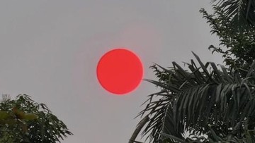 Matahari Merah di Langit Palangka Raya, Karhutla Kian Mengkhawatirkan