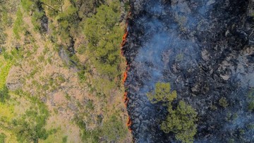 BREAKING: 70 Hektare Lahan Terbakar, Tiga Pintu Masuk Bromo Ditutup