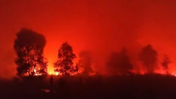 Kebakaran Melanda Taman Nasional Way Kambas, Pemadaman Terus Berlangsung