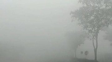 BREAKING: Kualitas Udara Kotim Masuk Zona Berbahaya, Warga Diminta Siaga
