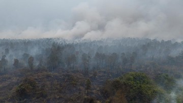 BREAKING: Karhutla Hanguskan 63 Hektare di 10 Distrik Merauke