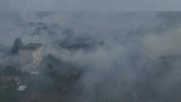 BREAKING: 300 Kecelakaan Hantam Kalteng Saat Kabut Asap Karhutla