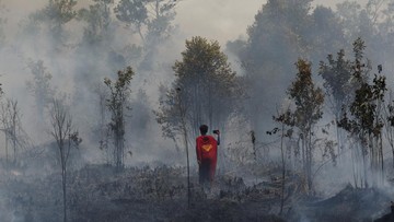 Karhutla Kapuas Belum Padam, Medan Terjal Hambat Petugas