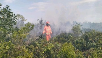 Api Meluas Sekitar IKN, Kawasan Penyangga Masuk Status Siaga