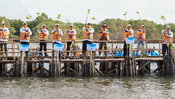 KLH Luncurkan Gerakan Tanam Sejuta Mangrove di Hari Bakau 2026