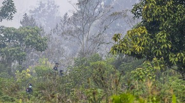 Waka MPR Ibas Dorong Investigasi Dugaan Kesengajaan Karhutla Kalimantan