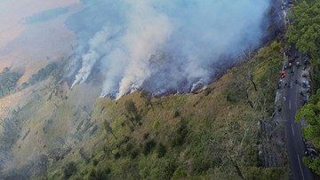 BREAKING: Api Berkobar, Bromo Hangus 80 Hektare