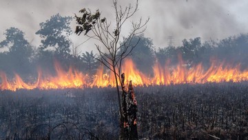 BREAKING: Udara Kalbar Berbahaya, Tiga Daerah Masuk Siaga