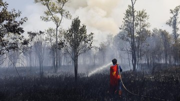 BARU SAJA: Rudiansyah 15 Tahun Berjibaku Lawan Api Karhutla Selamatkan Rumah