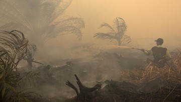 Hotspot Kebakaran Hutan di Kalbar dan Kalteng Kian Meluas