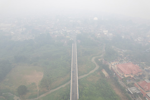 BREAKING: Kabut Asap Karhutla Selimuti Jambi, Udara ISPU 452 Berbahaya