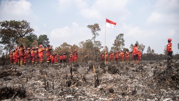 Gempa NTT, Kebakaran Hutan, dan HUT RI Warnai Sepekan