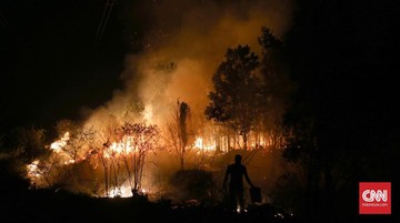 Kemenhut Buka Penyelidikan Kebakaran Hutan 25 Hektare di Sumsel