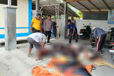 BREAKING: Polisi Ciduk Pria Bawa 11 Pari Mobula Dilindungi di Jembrana