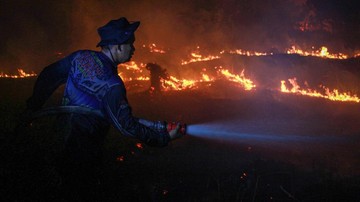 BREAKING: 793 Titik Api Karhutla Kepung RI, Kalteng Terparah