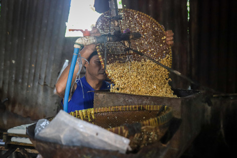 Produksi Kedelai RI Baru 8,14%, Impor Masih Mendominasi