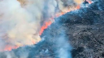 BREAKING: 80 Hektare Lahan Gunung Bromo Terbakar, Siaga Darurat