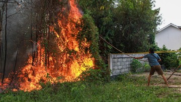 BREAKING: BNPB Catat 198 Titik Api di Kalimantan Barat, Ketapang Terbanyak