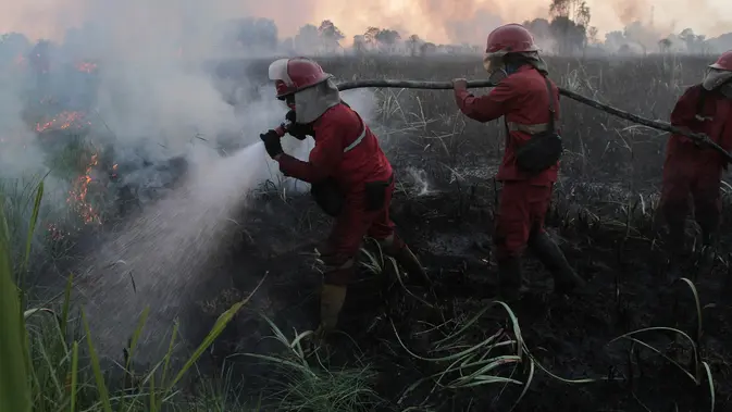 BREAKING: Karhutla Hanguskan 107 Ribu Hektare Lahan, Pasukan Siaga Darurat