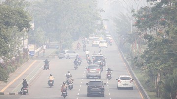 BREAKING: Bupati Ketapang Buka Suara Usai Karhutla Tewaskan Warga