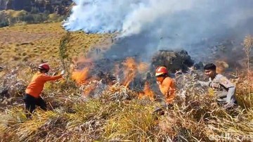 BREAKING: Kebakaran Bromo Meluas, 51 Hektare Lahan Hangus