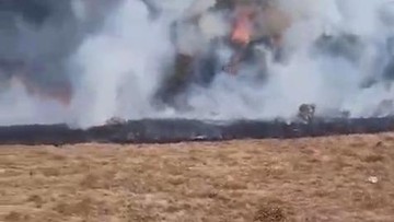 BREAKING: Alun-alun Suryakencana Terbakar, Api Padam Setelah 3 Jam