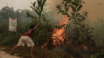 BREAKING: Karhutla Palangka Raya Meluas, 832 Kejadian TerkONFIRMASI