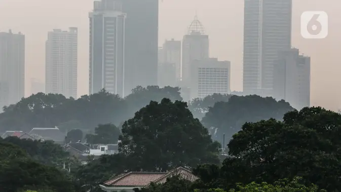 BREAKING: Kualitas Udara Jakarta Timpang, Sejumlah Wilayah Zona Tidak Sehat