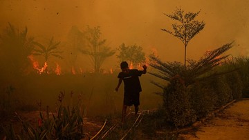 BREAKING: Titik Panas Karhutla Melonjak di Empat Provinsi Kunci