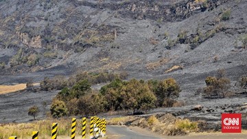 BREAKING: Savana Gunung Bromo Menghitam Usai Kebakaran Hutan dan Lahan