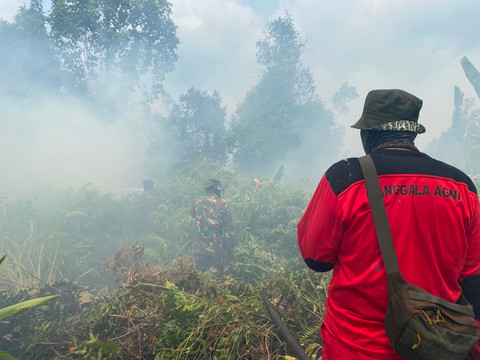 BNPB Siagakan Armada Modifikasi Cuaca Lawan Karhutla di Kalimantan