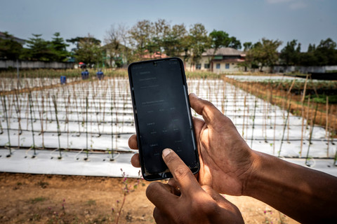 BREAKING: Petani Semarang Kini Rawat Tanaman Pakai Teknologi IoT