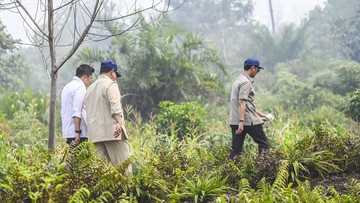 Presiden Prabowo ke Riau, Tinjau Langsung Penanganan Karhutla Sumatra