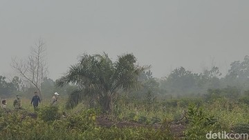 Langit Putih Gelap Selimuti Sungai Raya Kalbar, Prabowo Tinjau Pemadaman