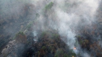Karhutla Sumsel Capai 1.926 Hektare, Setara Tiga Kali Menteng