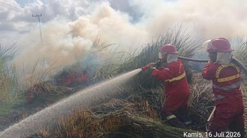 BARU SAJA: Lahan Terbakar di Kalsel Tembus 8.900 Hektare, BNPB Bergerak