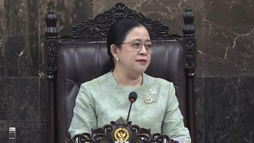 Puan Maharani Desak Penanganan Total Kebakaran Bromo dan Palangka Raya