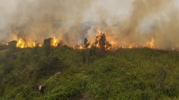 BREAKING: Karhutla Lahan Gambut Hampir Bakar Rumah Warga OKI