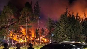Massa Bakar Tujuh Kantor Pemerintahan di Puncak Papua
