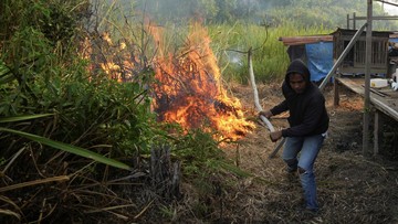 BREAKING: 11 Daerah Sumsel Zona Merah Karhutla, Api Kepung Permukiman Palembang