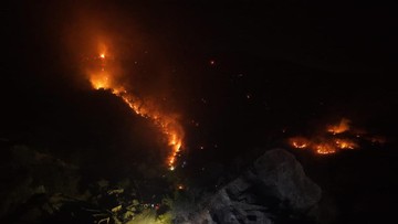 BREAKING: 100 Hektare Lahan Hangus di Banggai, Puntung Rokok Diduga Biang Kerok