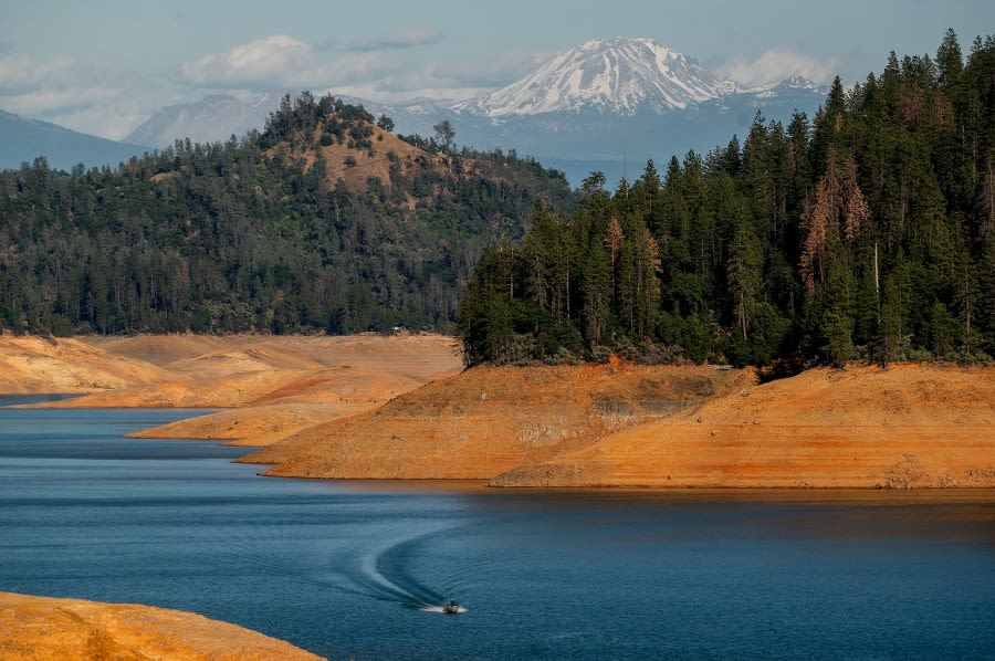 Northern California Man Drowns in Shasta Lake After Leaping from Moving Boat to Save Dog