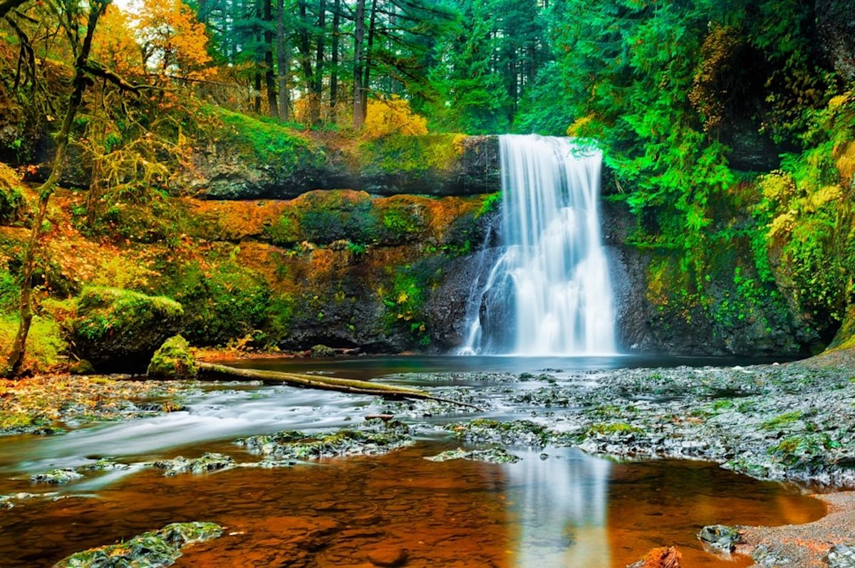 Oregon's Silver Falls State Park Draws Crowds with Ten-Waterfall Trail and Historic Forest Café