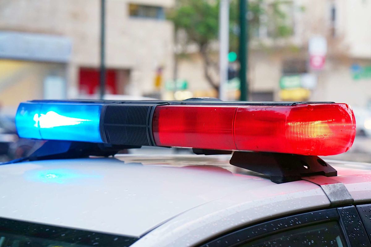 Florida Woman Arrested on Felony Grand Theft Charges After Man Claims $98,400 Rolex Disappeared Following Night Out