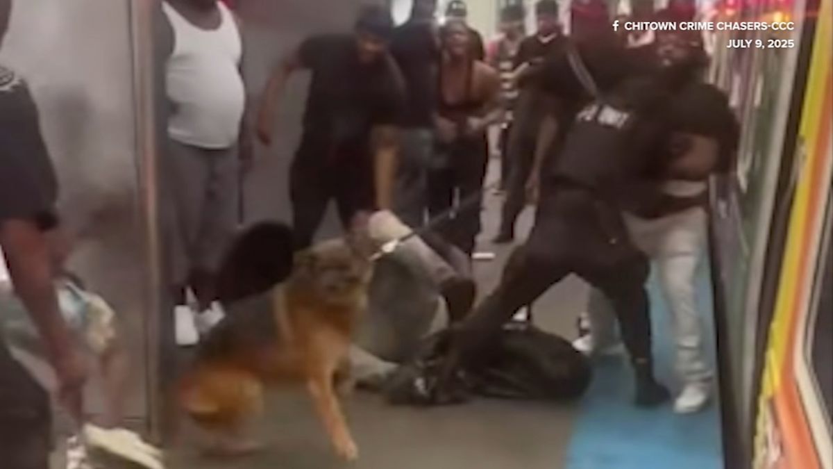 Records Fight Exposes Inadequate Oversight and Rider Complaints Involving Multi-Million-Dollar CTA Canine Security Patrols